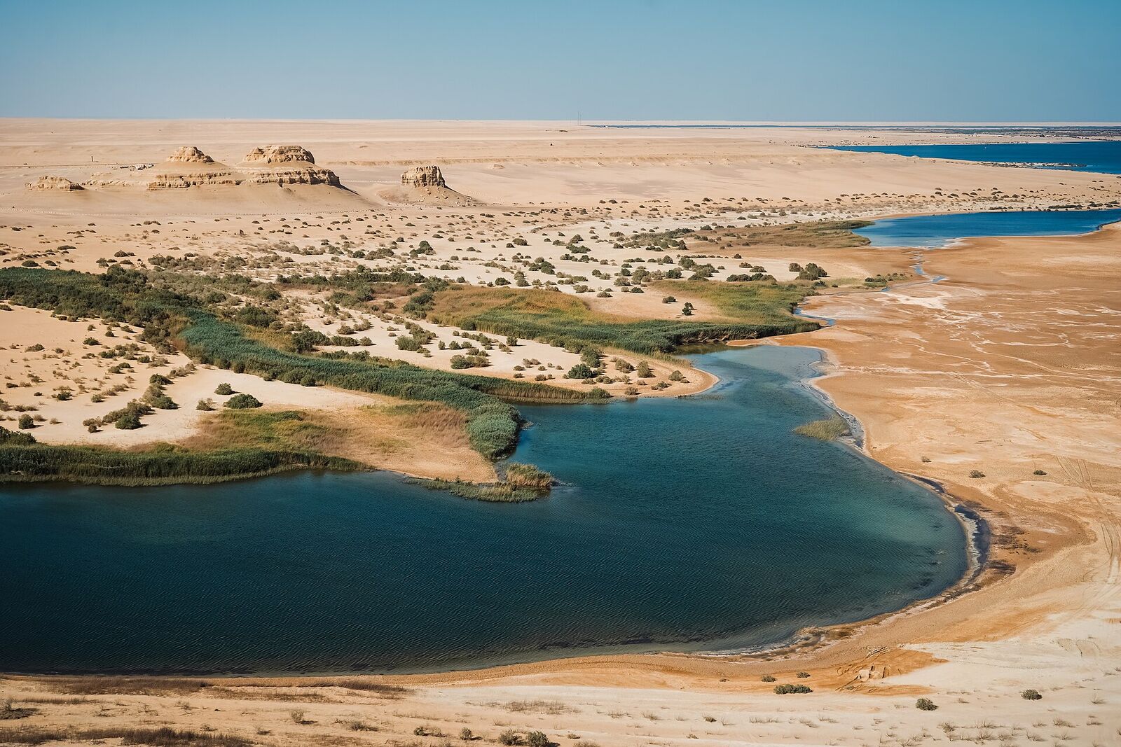 الفيوم